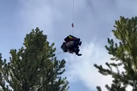 Yellowstone Bear Attack Injures Two Hikers, Prompts Closures