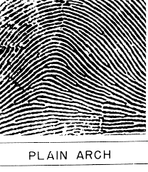 Résultat de recherche d'images pour "fingerprint types"