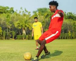 Image of NIMS University sports complex