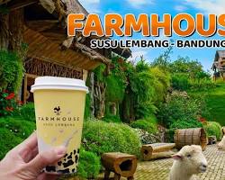 Gambar Farmhouse Susu Lembang