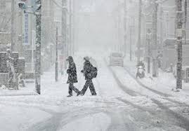 News source: 京都新聞デジタル