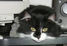 /><br/> <br/></span><br/> <span style=