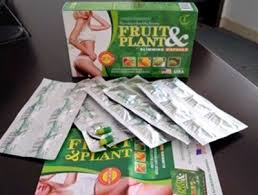 Fruit & Plant Obat Ampuh Pelangsing Badan Di Makassar 081339511873  Images?q=tbn:ANd9GcR25G7XOjncB83iyhn2Zo63ACDx4l-KhulPW5jTtrCbbhCwhYJ_