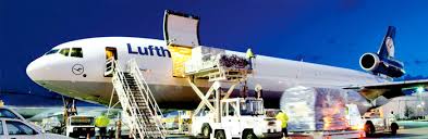Hasil gambar untuk AIR FREIGHT  import cargo