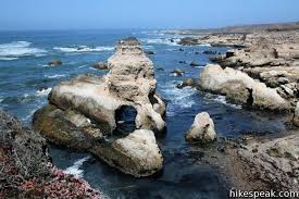 Image result for montana del oro