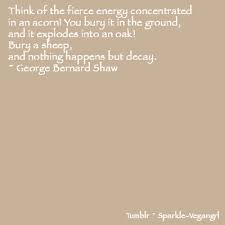 Vegetarian George Bernard Shaw Quotes. QuotesGram via Relatably.com