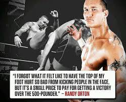 Wwe Quotes And Sayings. QuotesGram via Relatably.com