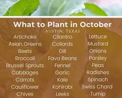 Image of Central Texas in October