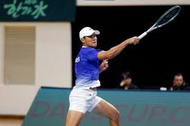 데이비스컵 아이콘