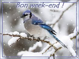 Résultat de recherche d'images pour "gif BON WEEK END au chaud"