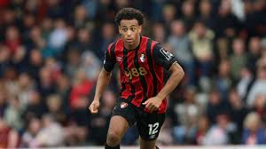 Sunderland Vs Bournemouth