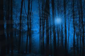 Resultado de imagen para twilight night images