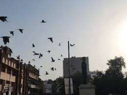 पंजाब के 10 शहरों का तापमान 40°C पार: 12 जिलों में ओरेंज व यलो अलर्ट जारी; बारिश के साथ चलेंगी तेज हवाएं