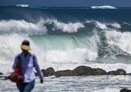 Canarias7 - News update