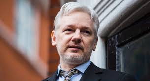 Image result for assange