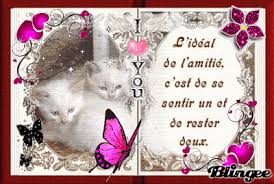 Résultat de recherche d'images pour "tu es très belle"