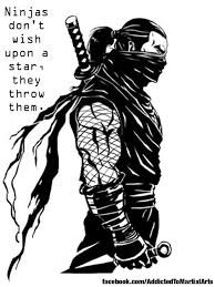 Hasil gambar untuk ninja