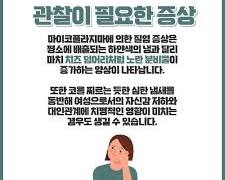 마이코플라즈마 질염