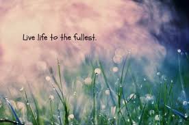 Inspirational Life Quotes To Live By. QuotesGram via Relatably.com