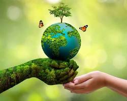 Hình ảnh về Môi trường