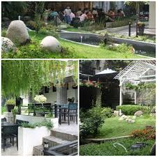 Kết quả hình ảnh cho Tra dao images