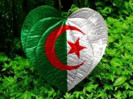 علم الجزائر  Images?q=tbn:ANd9GcR2x1aPxl0lIcr7o-kHD6mPLnto_RKzisXUAkavZ-rq-kjTThIH