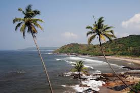 Image result for chapora beach