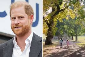 Prince Harry Reveals the One Thing Prince Archie, 7, Doesn’t Want at School — People.com