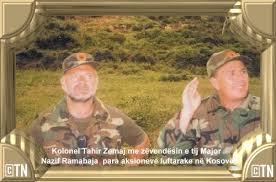 Image result for RRUSTEM BRUQI