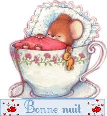 R�sultat de recherche d'images pour "gif bonsoir"