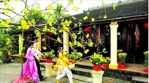 Image result for NĂM MỚI HOA MAI NỞ