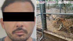 Detienen a José Antonio ‘N’, líder de célula del Cártel del Noroeste, por huachicol; le aseguran 7 tigres