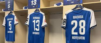 Die TSG-Startelf gegen Hamburg