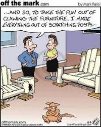 Image result for who needs english i never going to england