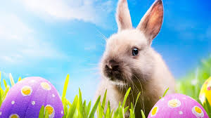 Résultat de recherche d'images pour "easter bunny"