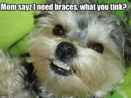 external image images?q=tbn:ANd9GcR3PT0DdCCbDBCfQkYD1yx5YYLtvqnR4ZVoX8Pv-cHGxdmDDMRUXQ