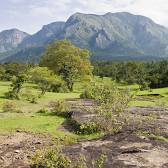 Mudumalai Tiger Reserve