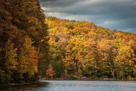 Autumn Approaches, Bringing Food-Themed Weekend Events