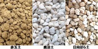 「ボラ土」の画像検索結果