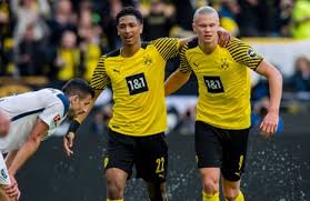 haaland