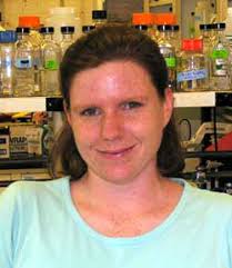 HANOVER, NH - Dr. Deborah Hogan, a gifted researcher in Dartmouth Medical School&#39;s (DMS) microbiology and immunology department, was named a 2005 Pew ... - hogan