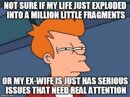 Image result for fry not sure if serious