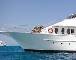 صورة Bootstouren, Hurghada