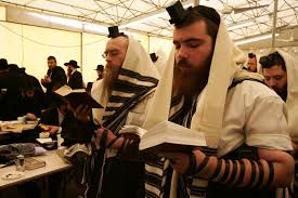 Image result for hasidic jews