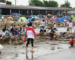 的形海水浴場・潮干狩り場の画像