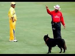 Image result for funny images in cricket history