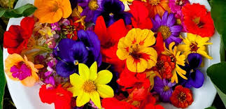 Resultado de imagem para flores comestíveis receitas