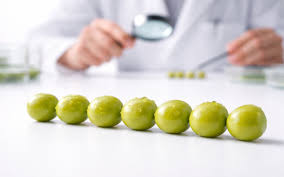 Pea Market Update: Canadian Arrivals Loosen India’s Supply, Prices Softer — CMB News