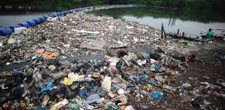 Resultado de imagem para treino olimpíada vela baia guanabara