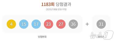 뉴스1 - News update